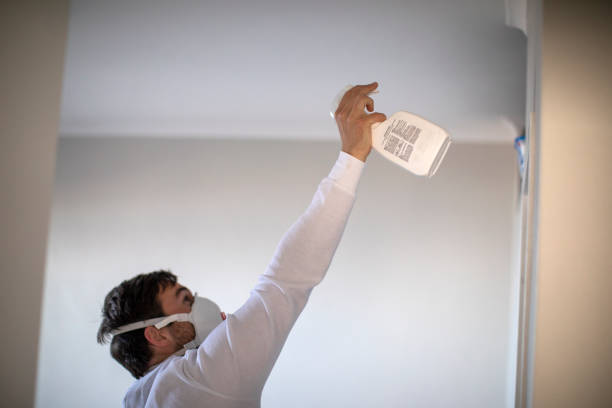 Certified Mold Removal in Verdi, NV
