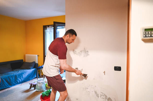 Best Mold Inspection  in Verdi, NV